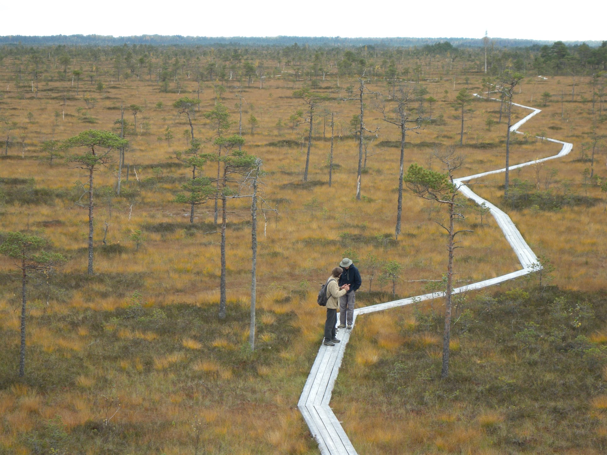 Fjällvandring