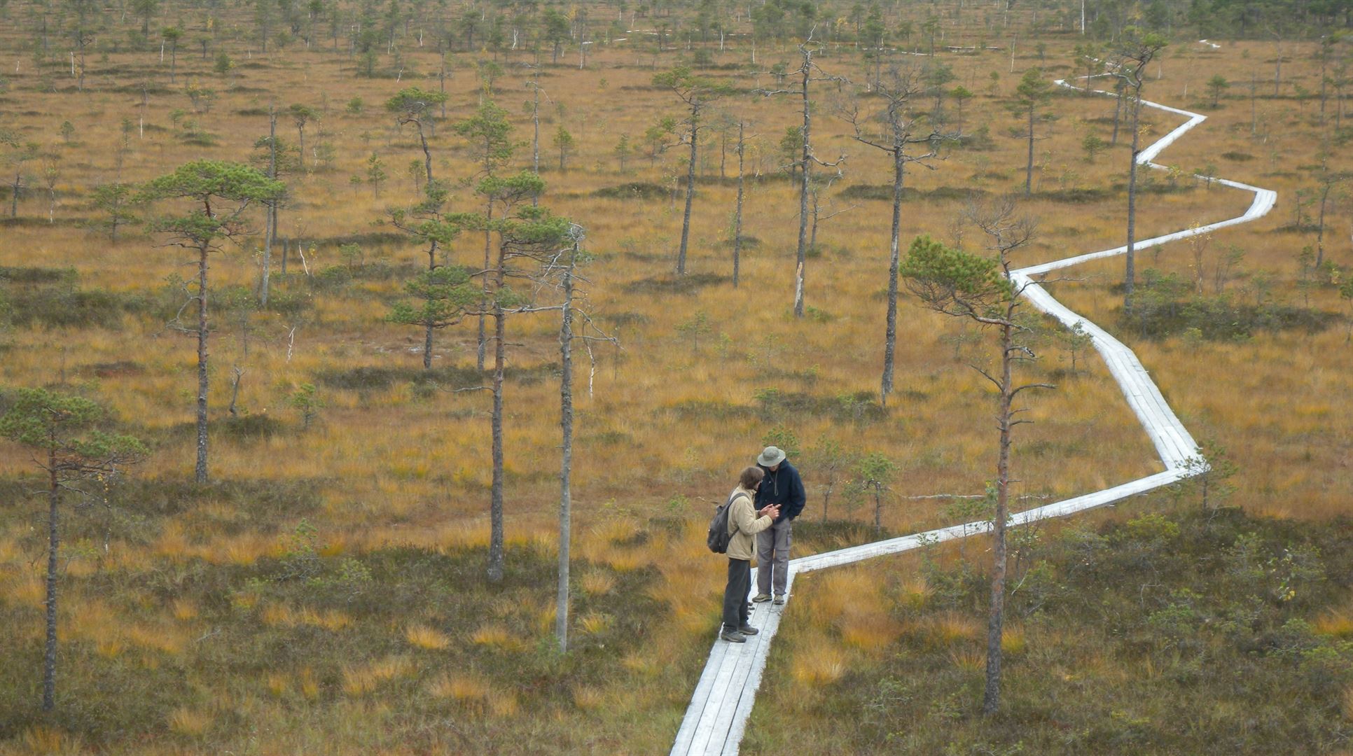 Fjällvandring