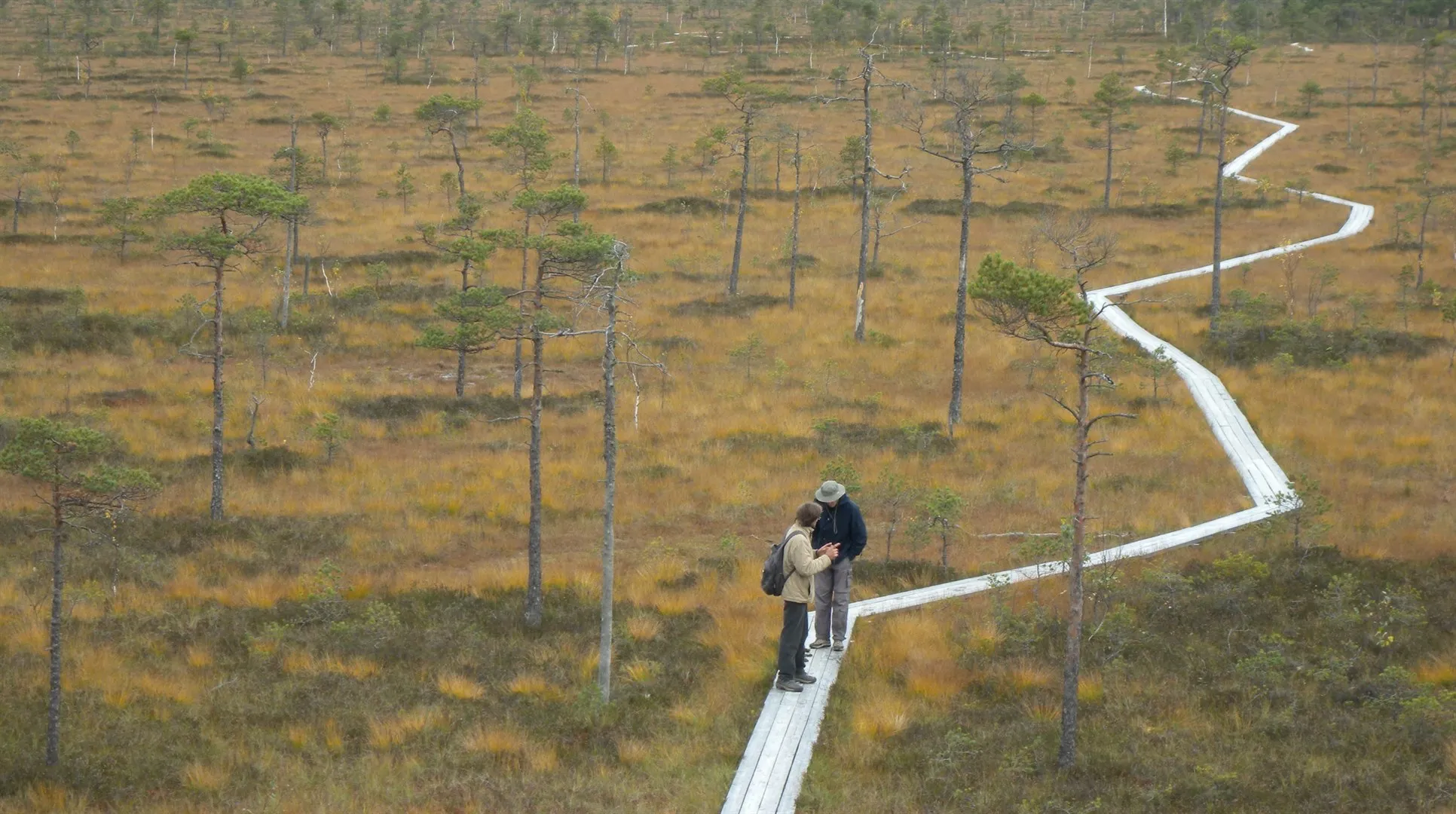 Fjällvandring